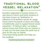 Nature's Way Feverfew Herb, Traditional Blood Vessel Relaxation*, 380 mg, 180 Vegan Capsules - Image 4