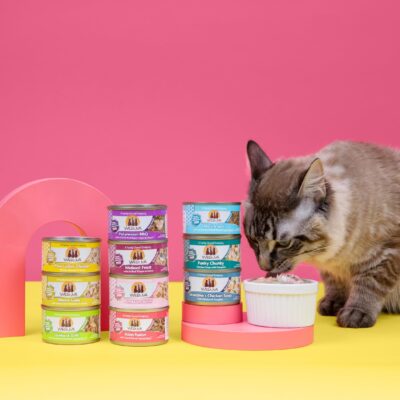 Weruva Classic Cat Food, Paw Lickin? Chicken with Chicken Breast in Gravy, 10oz Can (Pack of 12) - Image 8