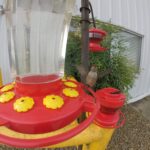First Nature 3090 32-ounce Hummingbird Flower Feeder - Image 6