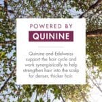 Klorane - Strengthening Shampoo - with Quinine & Edelweiss For Thinning Hair - Support Thicker Hair - Silicone, Paraben & Sulfate Free - 13.5 fl. oz. - Image 3