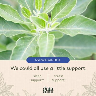 Gaia Herbs SleepThru - Natural Sleep Support Supplement with Organic Ashwagandha Root, Organic Magnolia Bark, Passionflower, and Jujube Date - 60 Vegan Liquid Phyto-Capsules (30-Day Supply) - Image 5