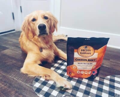 BRUTUS & BARNABY Chicken Jerky Dog Treats- Dehydrated Crunchy USA Premium Fillets, Grain-Free, Preservative-Free, No Fillers. All Natural Chicken Strips are Great for Dogs and Cats (10oz) - Image 8