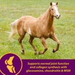 Horse Health Joint Combo Hoof & Coat, Convenient 3-in-1 Horse Joint Supplement Provides Complete Joint, Hoof and Coat Care, 3.75 lbs., 30 Day Supply - Image 4