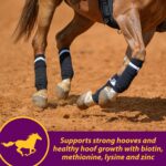 Horse Health Joint Combo Hoof & Coat, Convenient 3-in-1 Horse Joint Supplement Provides Complete Joint, Hoof and Coat Care, 3.75 lbs., 30 Day Supply - Image 6