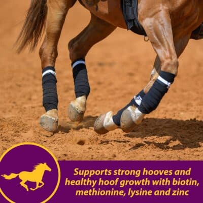 Horse Health Joint Combo Hoof & Coat, Convenient 3-in-1 Horse Joint Supplement Provides Complete Joint, Hoof and Coat Care, 3.75 lbs., 30 Day Supply - Image 6