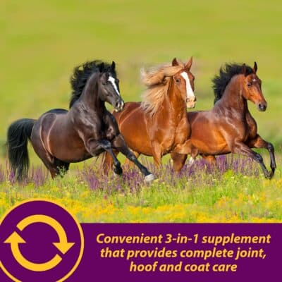 Horse Health Joint Combo Hoof & Coat, Convenient 3-in-1 Horse Joint Supplement Provides Complete Joint, Hoof and Coat Care, 3.75 lbs., 30 Day Supply - Image 3