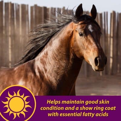 Horse Health Joint Combo Hoof & Coat, Convenient 3-in-1 Horse Joint Supplement Provides Complete Joint, Hoof and Coat Care, 3.75 lbs., 30 Day Supply - Image 7