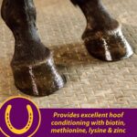 Horse Health Joint Combo Hoof & Coat, Convenient 3-in-1 Horse Joint Supplement Provides Complete Joint, Hoof and Coat Care, 3.75 lbs., 30 Day Supply - Image 5