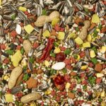 Kaytee Forti-Diet Pro Health Pet Parrot Bird Food, 8 Pound - Image 5